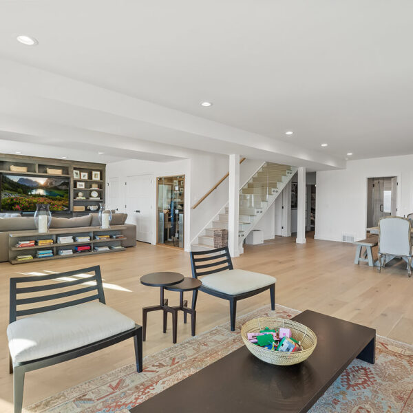 Basement Family Room