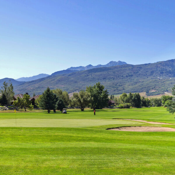 15 Green at Wolf Creek (1)